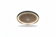 Moon 50 cm LED Plafonyer