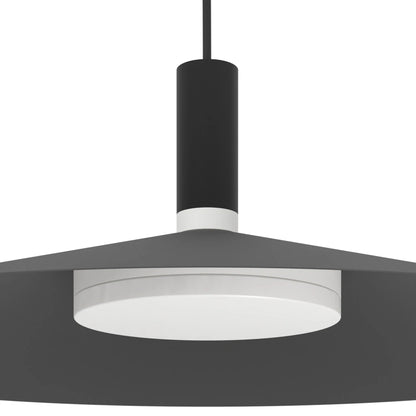 Conomavilla-Z 45 Cm  Sarkıt