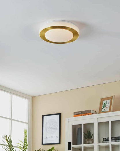 LED CARPI 30 Cm Çapında Çelik Fırçalanmış Pirinç, Beyaz Duvar Tavan Armatürü Ip44
